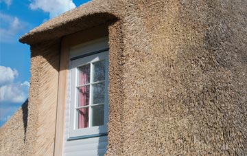Springbank thatch roof disadvantages